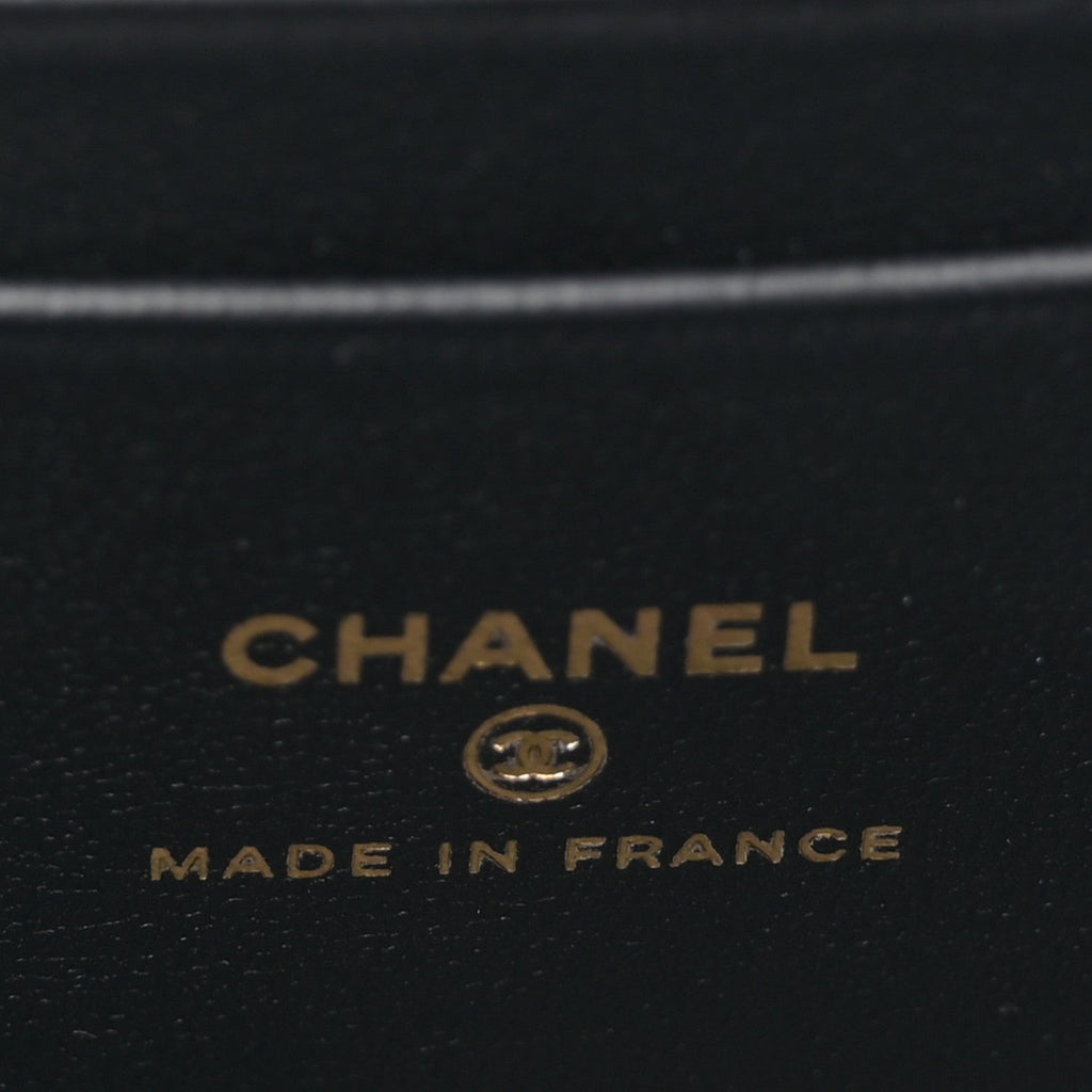 Chanel Lambskin Quilted Pick Me Up Vanity Case Black