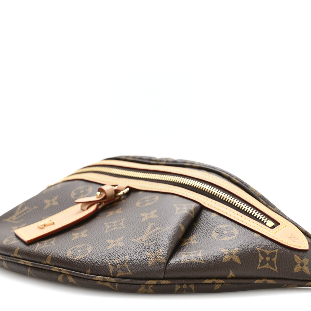 Louis Vuitton Monogram High Rise Bumbag