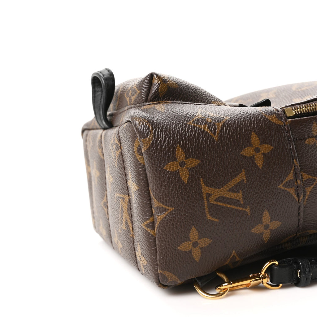 Louis Vuitton Monogram Palm Springs Backpack Mini