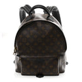 Louis Vuitton Monogram Palm Springs Backpack MM