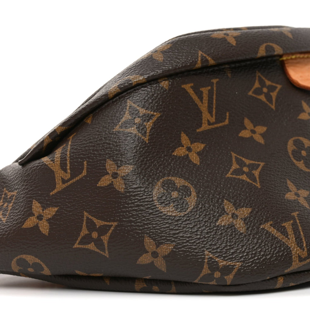 Louis Vuitton Monogram Bumbag