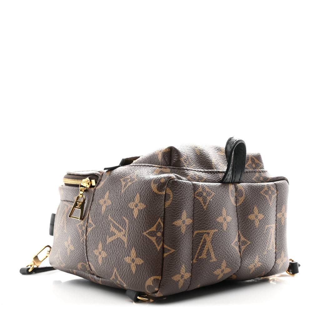 Louis Vuitton Monogram Palm Springs Backpack Mini