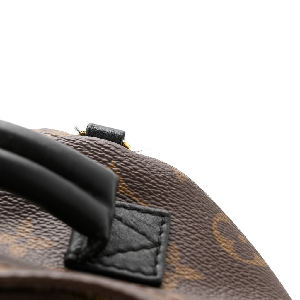 Louis Vuitton Monogram Palm Springs Backpack Mini