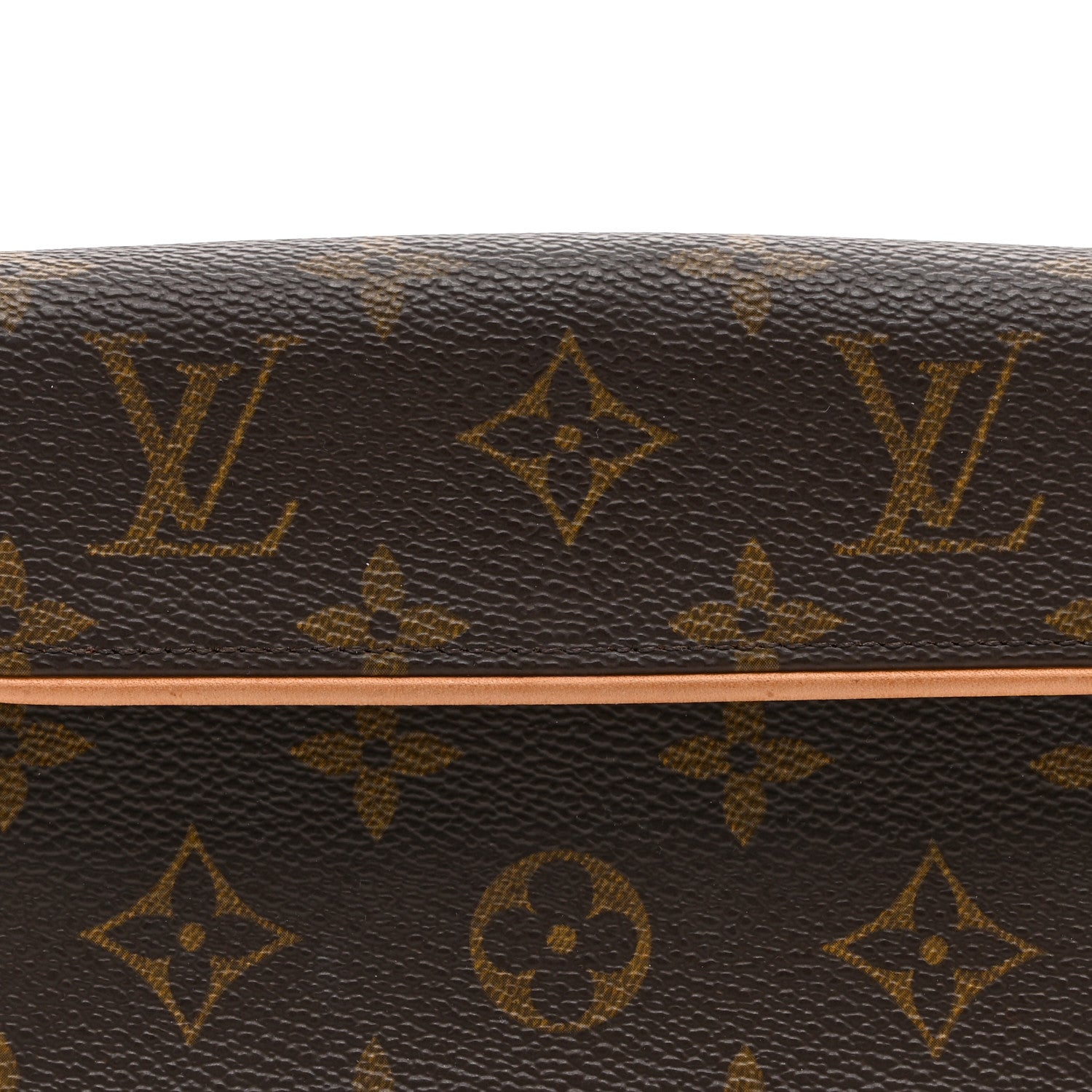 Louis Vuitton Monogram Pochette Florentine XS
