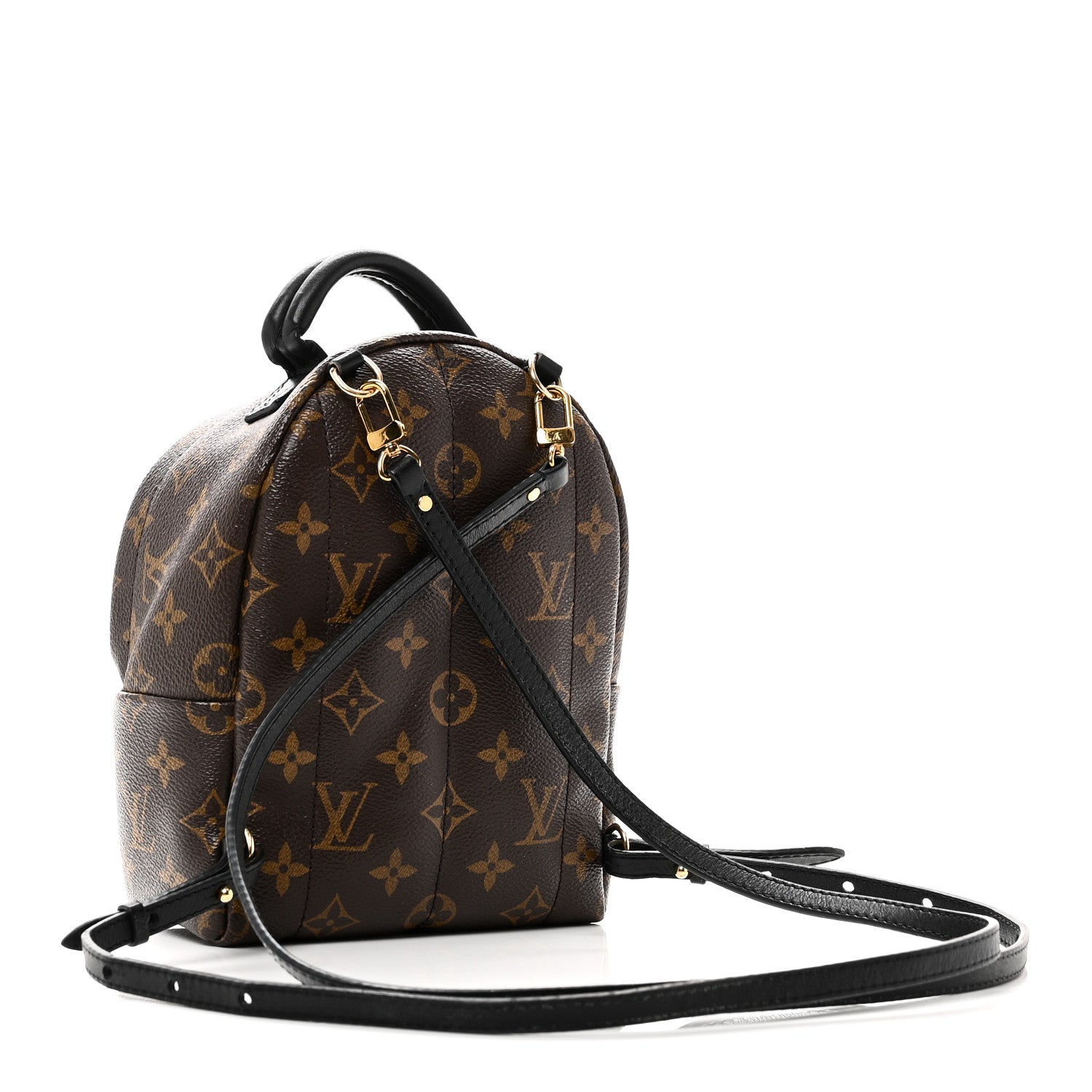 Louis Vuitton Monogram Palm Springs Backpack Mini