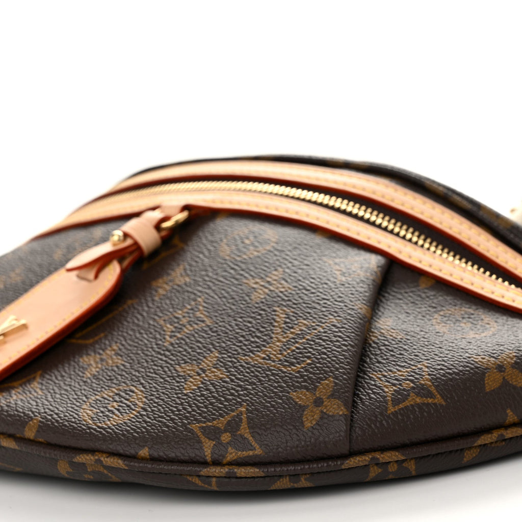 Louis Vuitton Monogram High Rise Bumbag