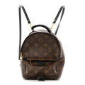 Louis Vuitton Monogram Palm Springs Backpack Mini