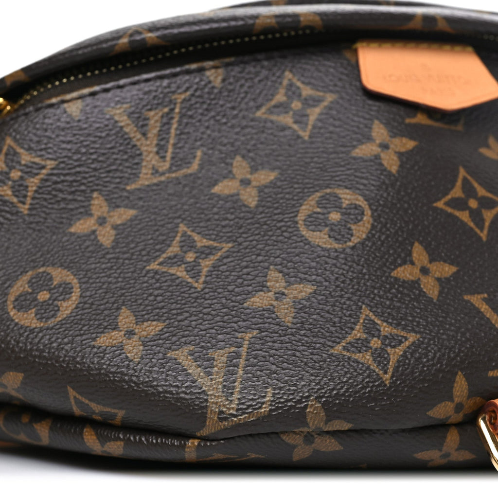 Louis Vuitton Monogram Bumbag