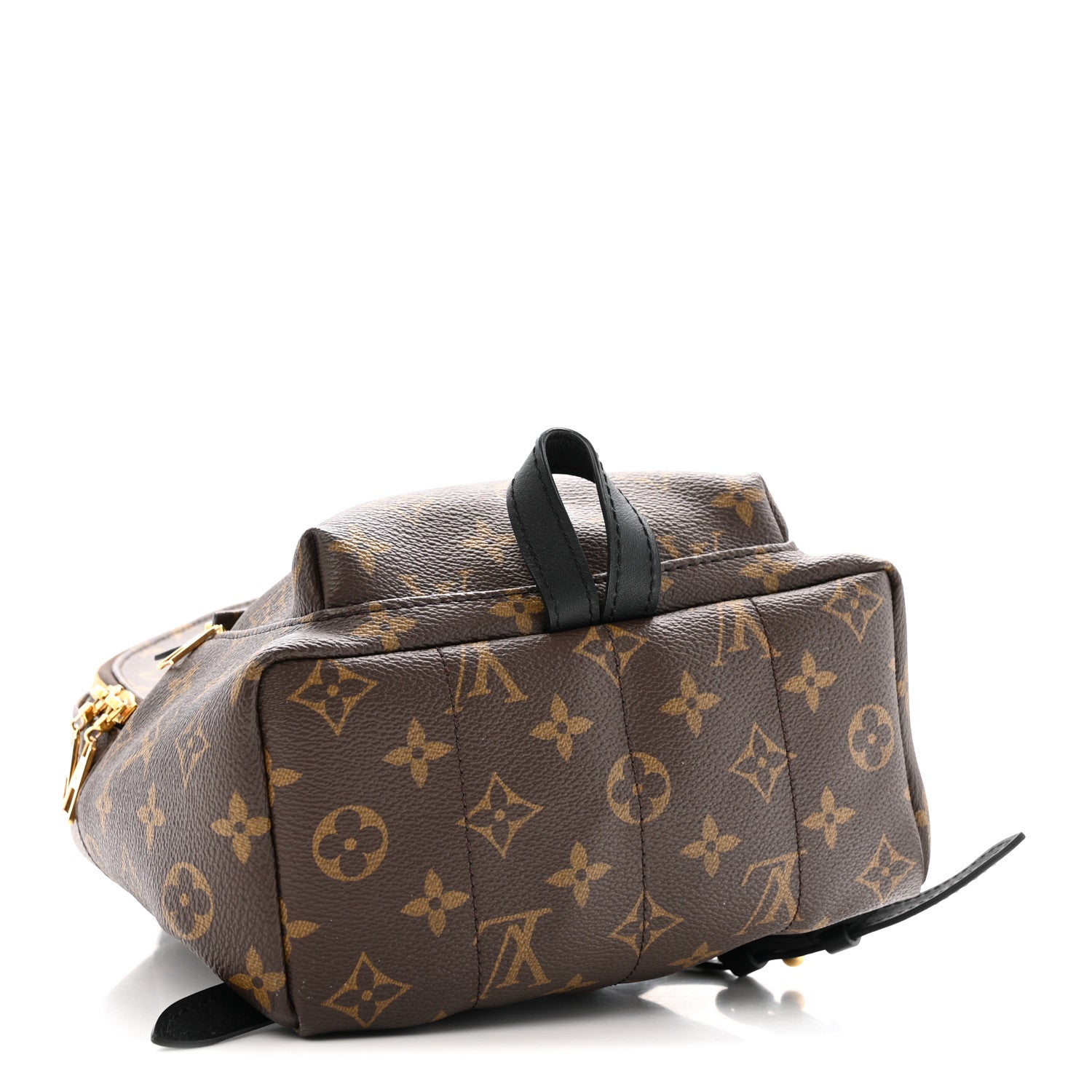 Louis Vuitton Monogram Palm Springs Backpack PM