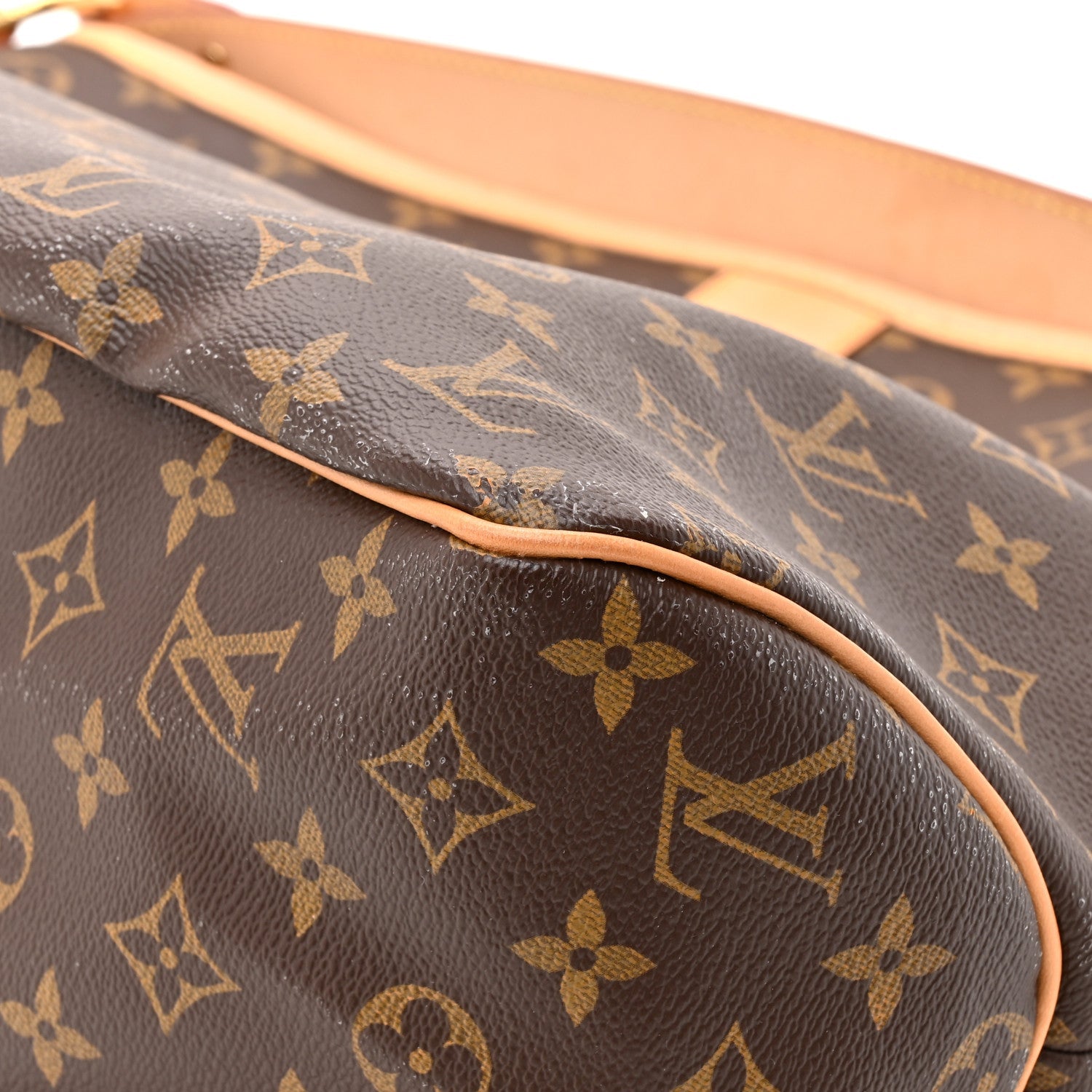 Louis Vuitton Monogram Delightful MM