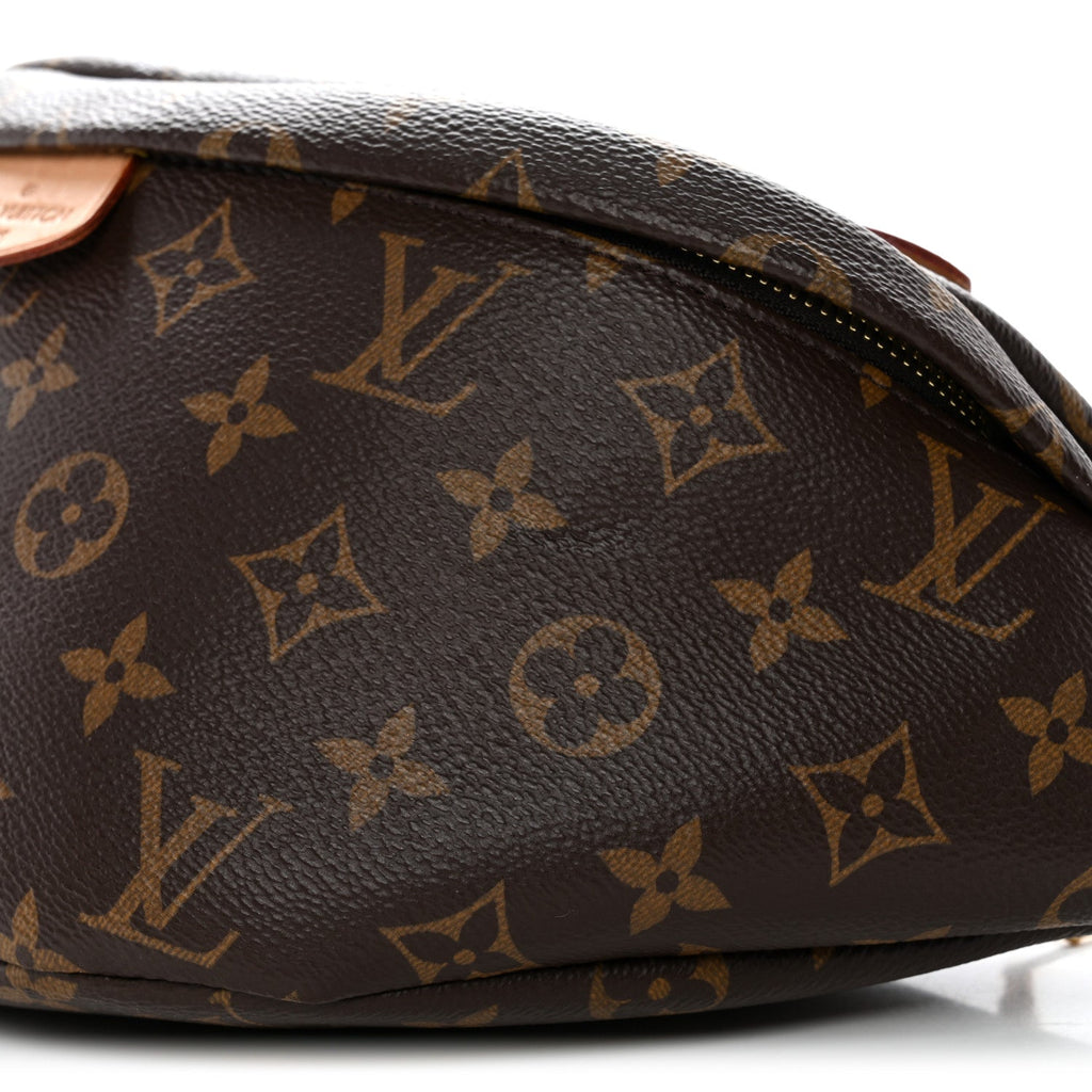 Louis Vuitton Monogram Bumbag