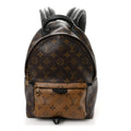 Louis Vuitton Reverse Monogram Palm Springs Backpack PM