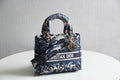 Dior Bags - 4927