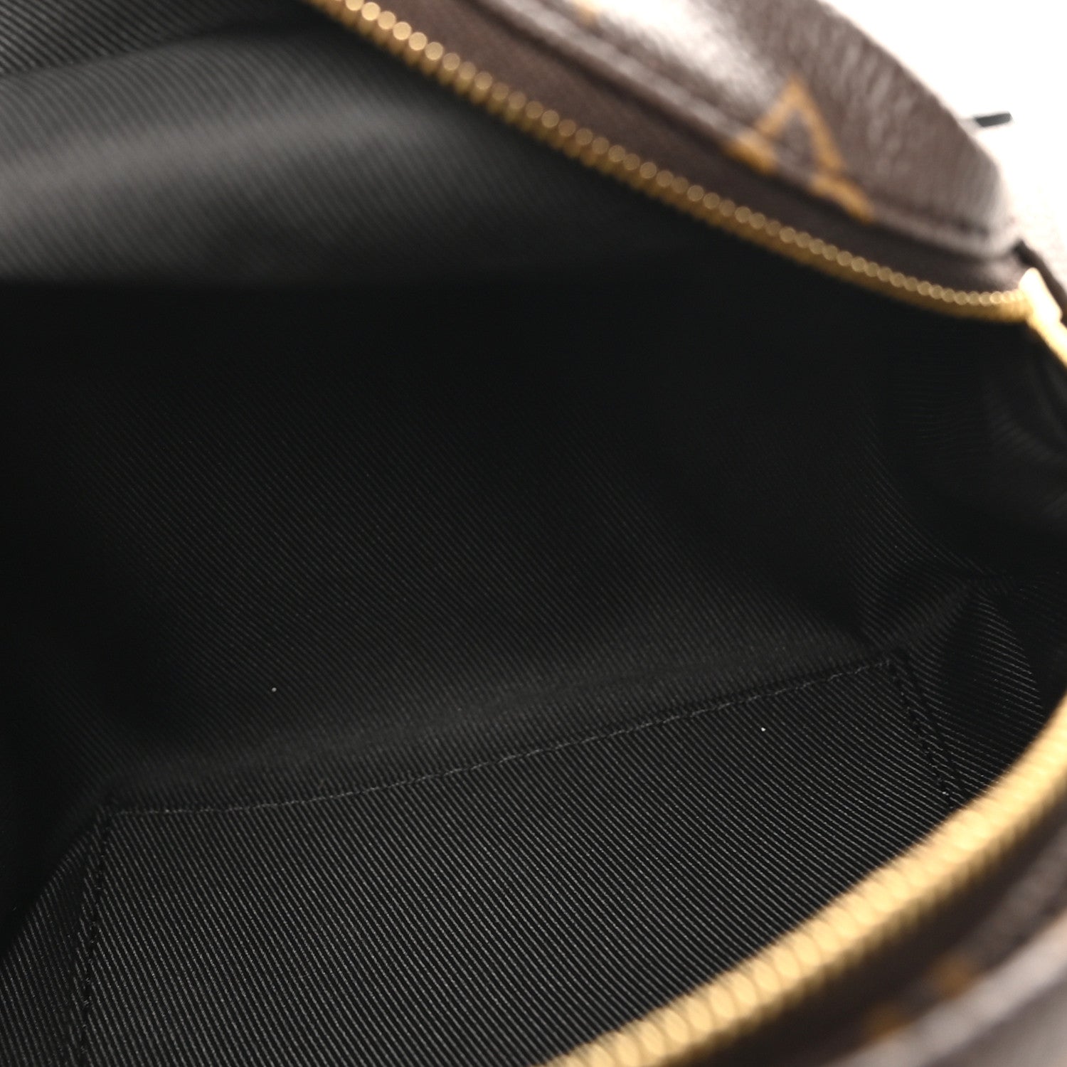 Louis Vuitton Monogram Palm Springs Backpack Mini