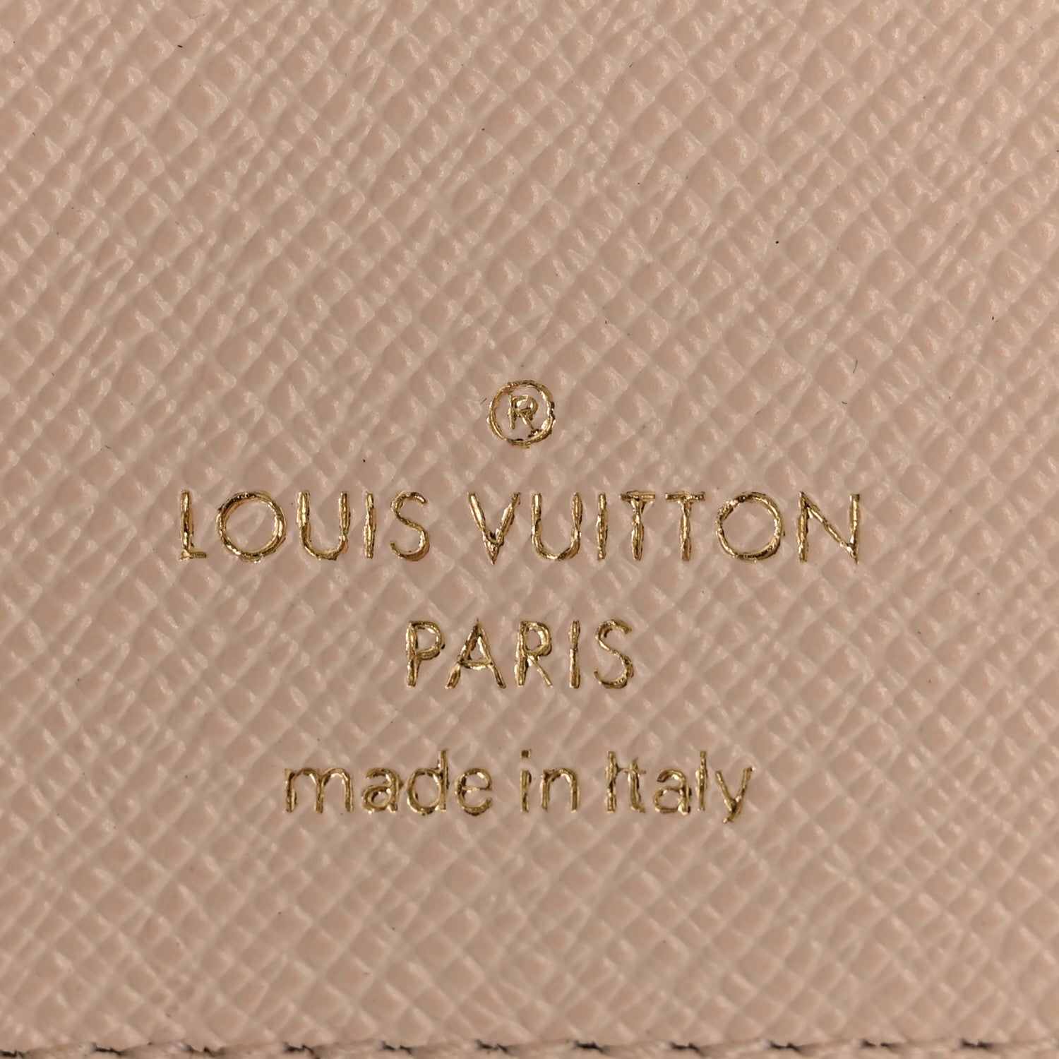 Louis Vuitton Monogram Giant By The Pool Victorine Wallet Brume