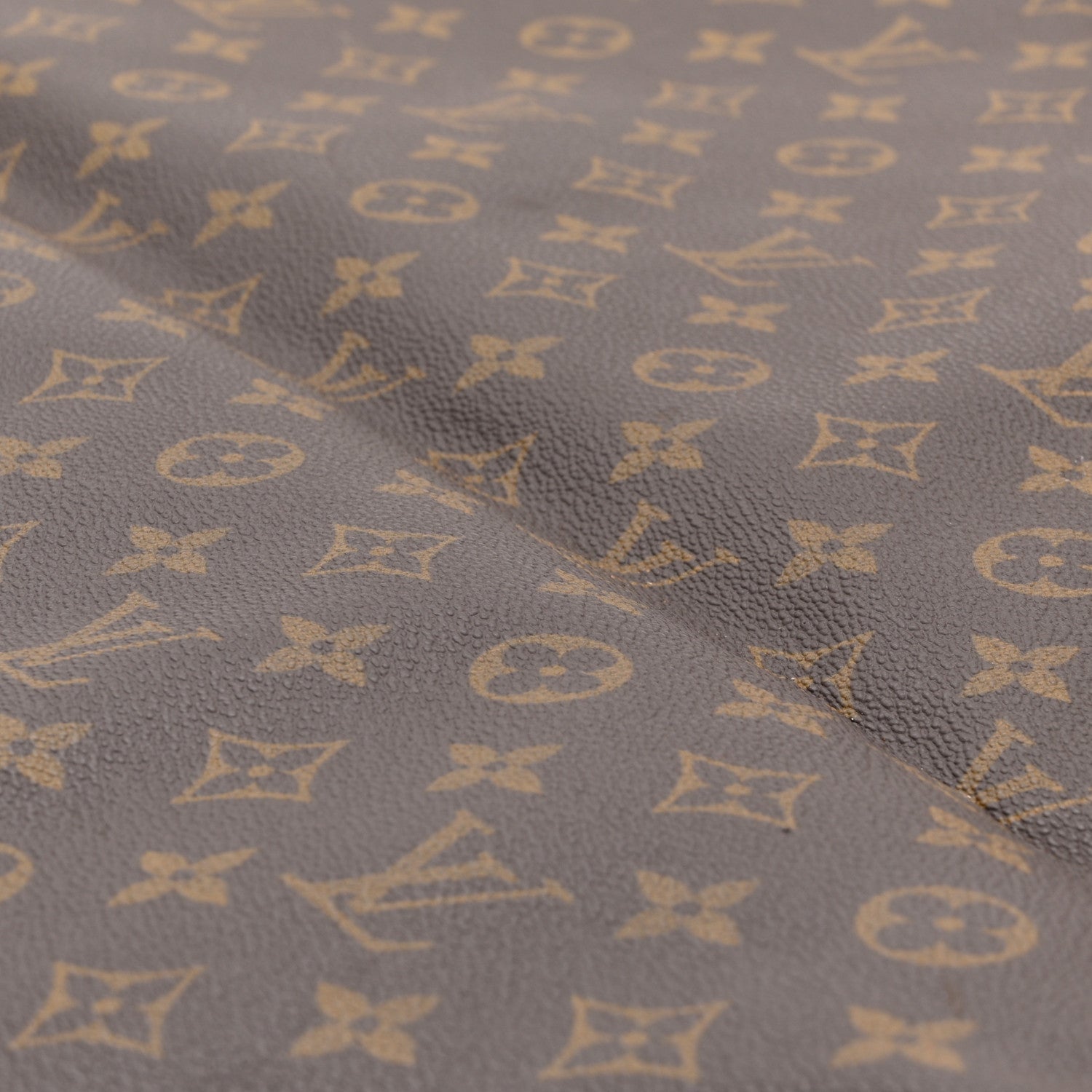 Louis Vuitton Monogram Garment Cover