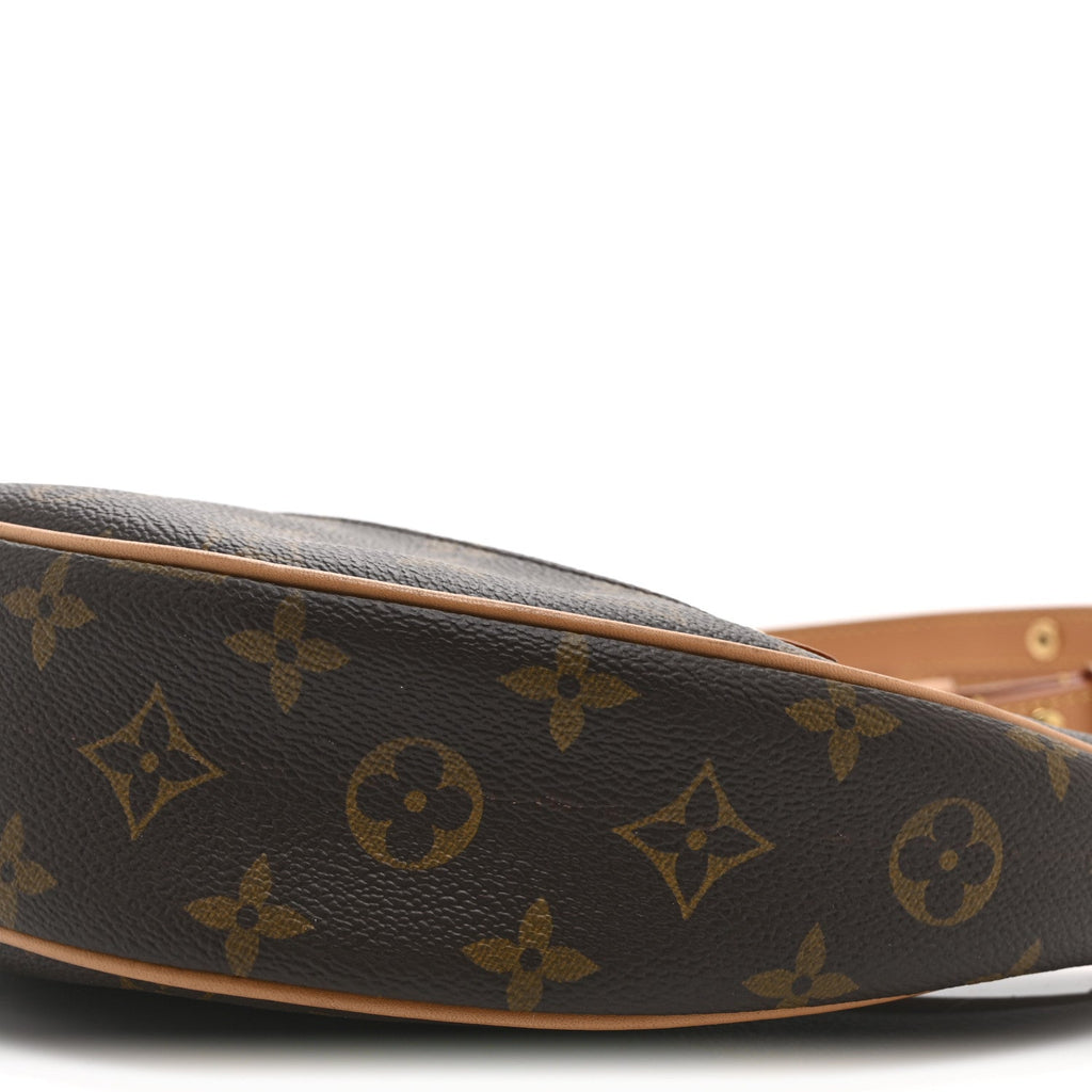 Louis Vuitton Monogram Loop