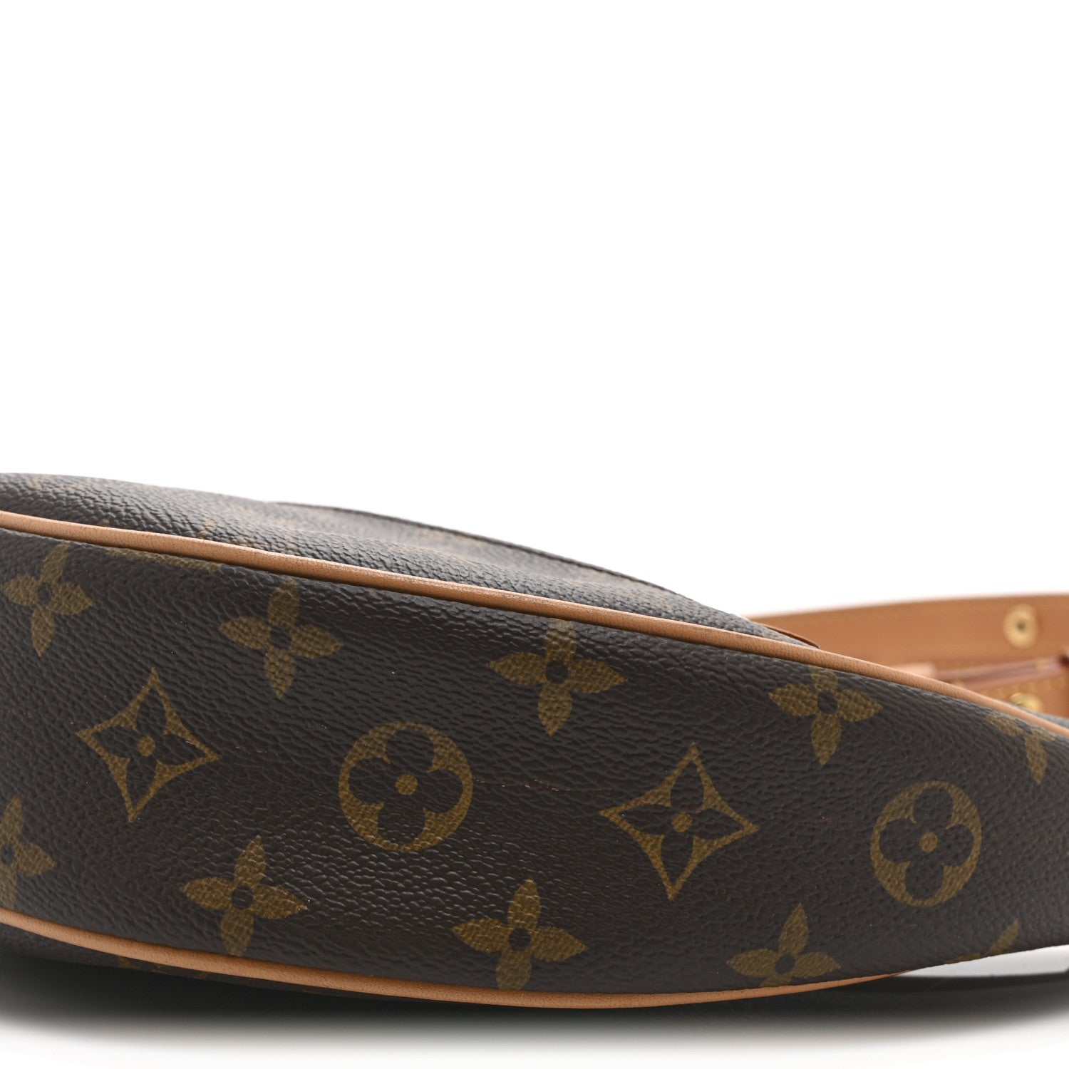 Louis Vuitton Monogram Loop