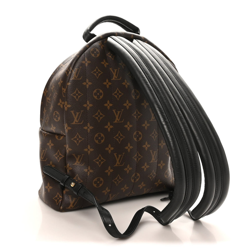 Louis Vuitton Monogram Palm Springs Backpack MM