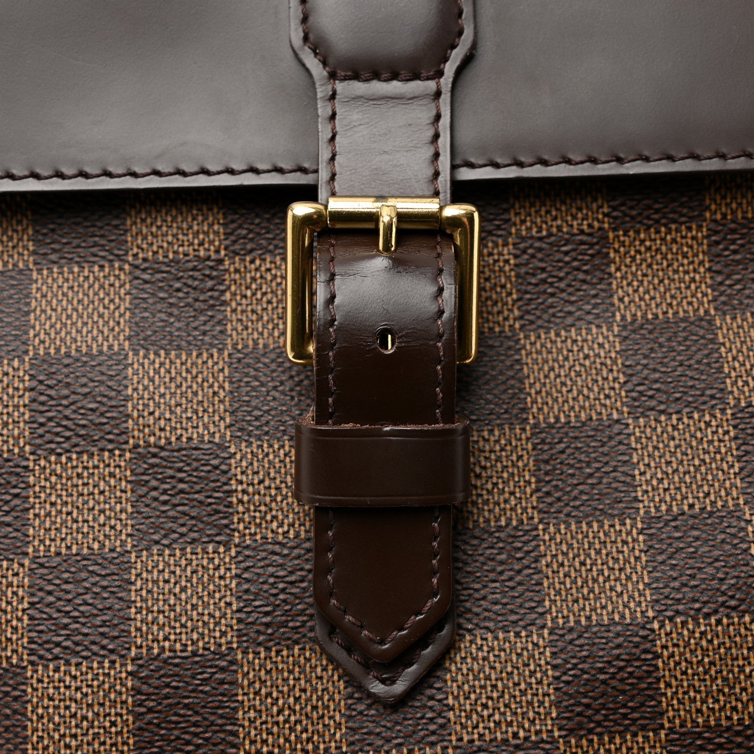 Louis Vuitton Damier Ebene Soho Backpack