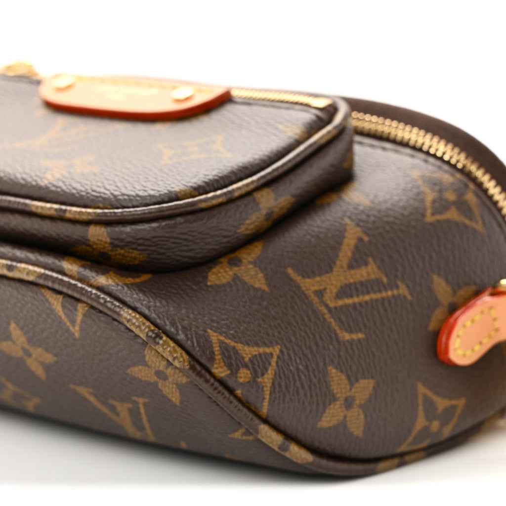 Louis Vuitton Monogram Mini Bumbag