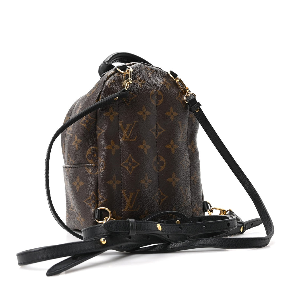 Louis Vuitton Monogram Palm Springs Backpack Mini