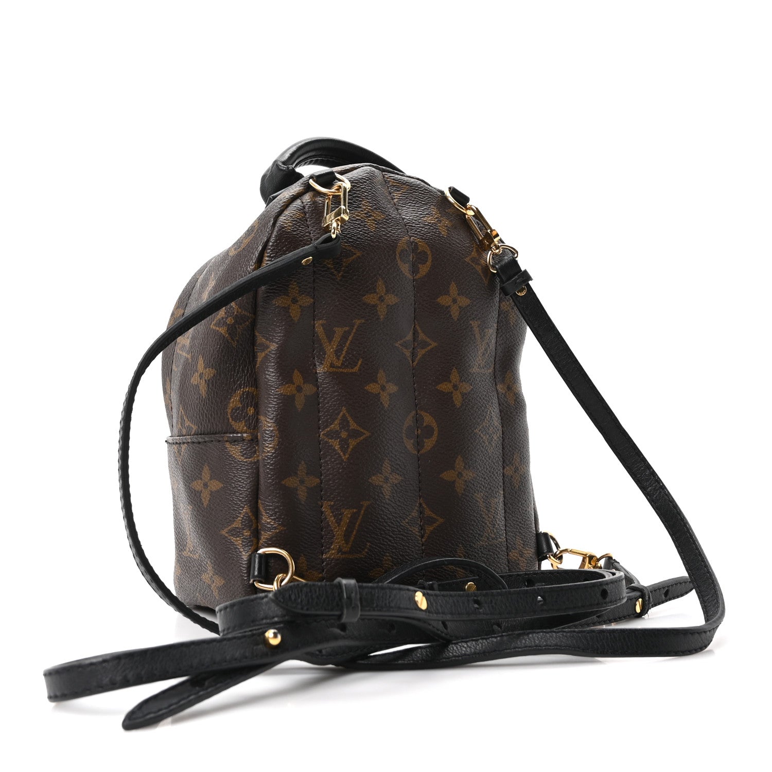 Louis Vuitton Monogram Palm Springs Backpack Mini