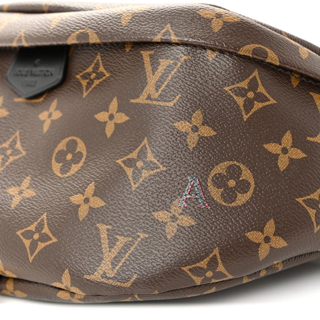 Louis Vuitton Monogram My LV World Tour Bumbag