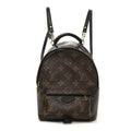 Louis Vuitton Monogram Palm Springs Backpack Mini
