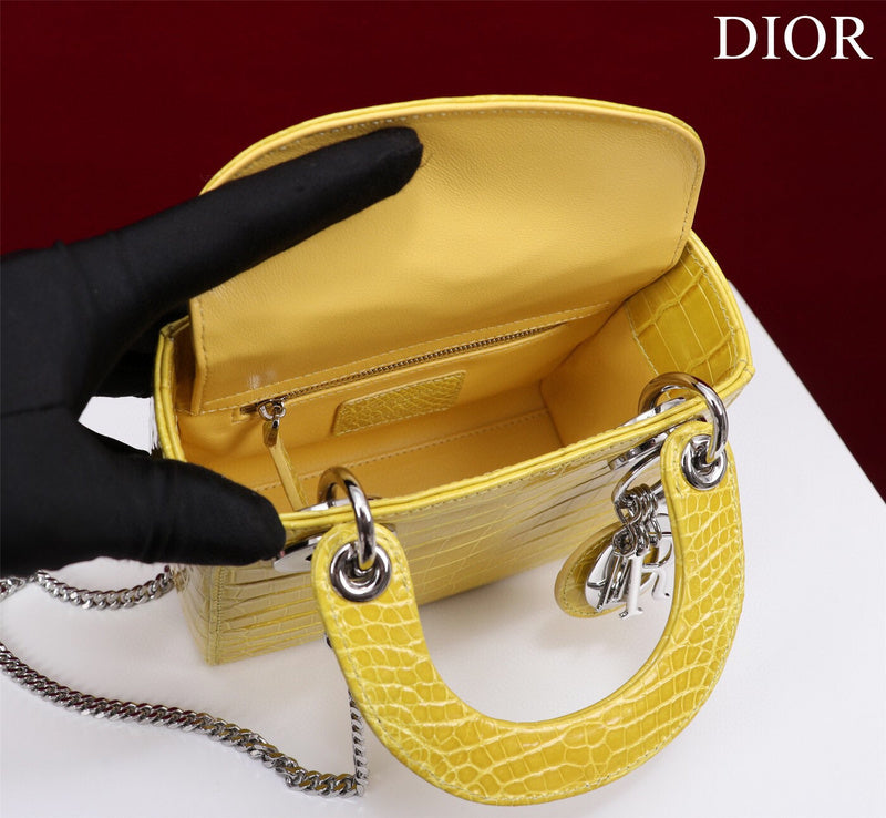 Dior Bag