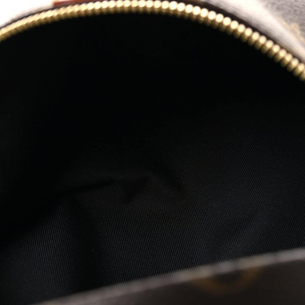 Louis Vuitton Monogram Bumbag
