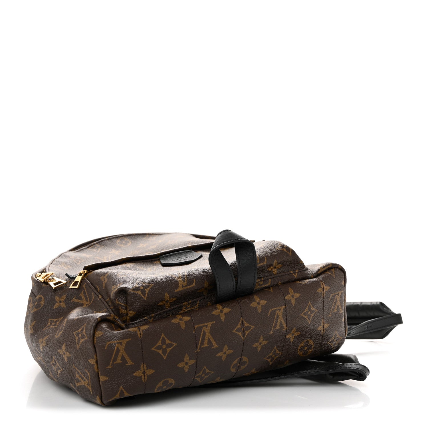 Louis Vuitton Monogram Palm Springs Backpack MM