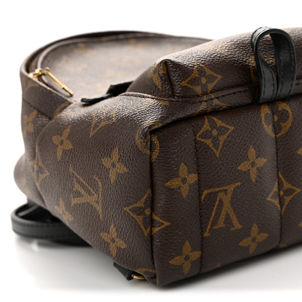 Louis Vuitton Monogram Palm Springs Backpack Mini