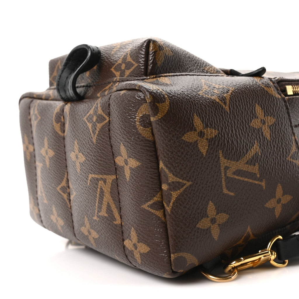 Louis Vuitton Monogram Palm Springs Backpack Mini