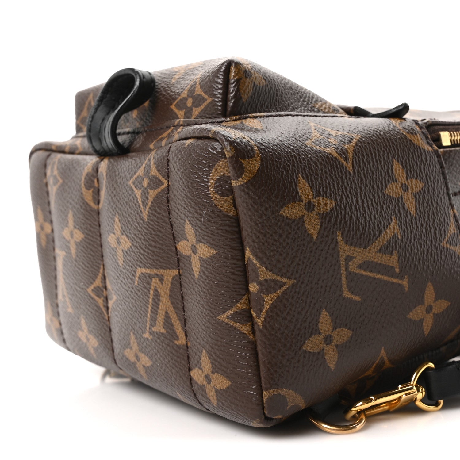 Louis Vuitton Monogram Palm Springs Backpack Mini