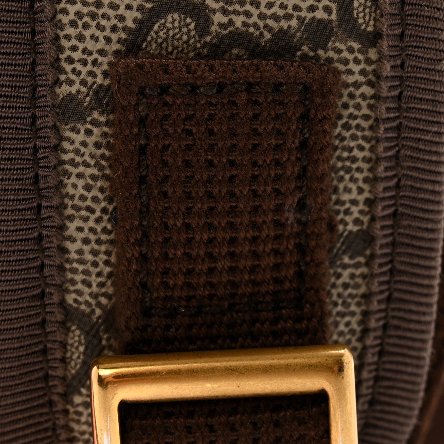 Gucci GG Supreme Monogram Textured Dollar Calfskin Web Small Ophidia Day Backpack Beige Ebony Fluorescent Fuchsia