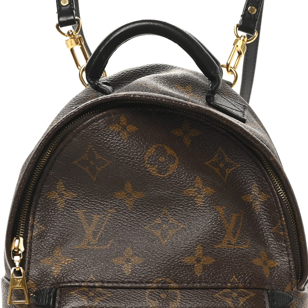Louis Vuitton Monogram Palm Springs Backpack Mini