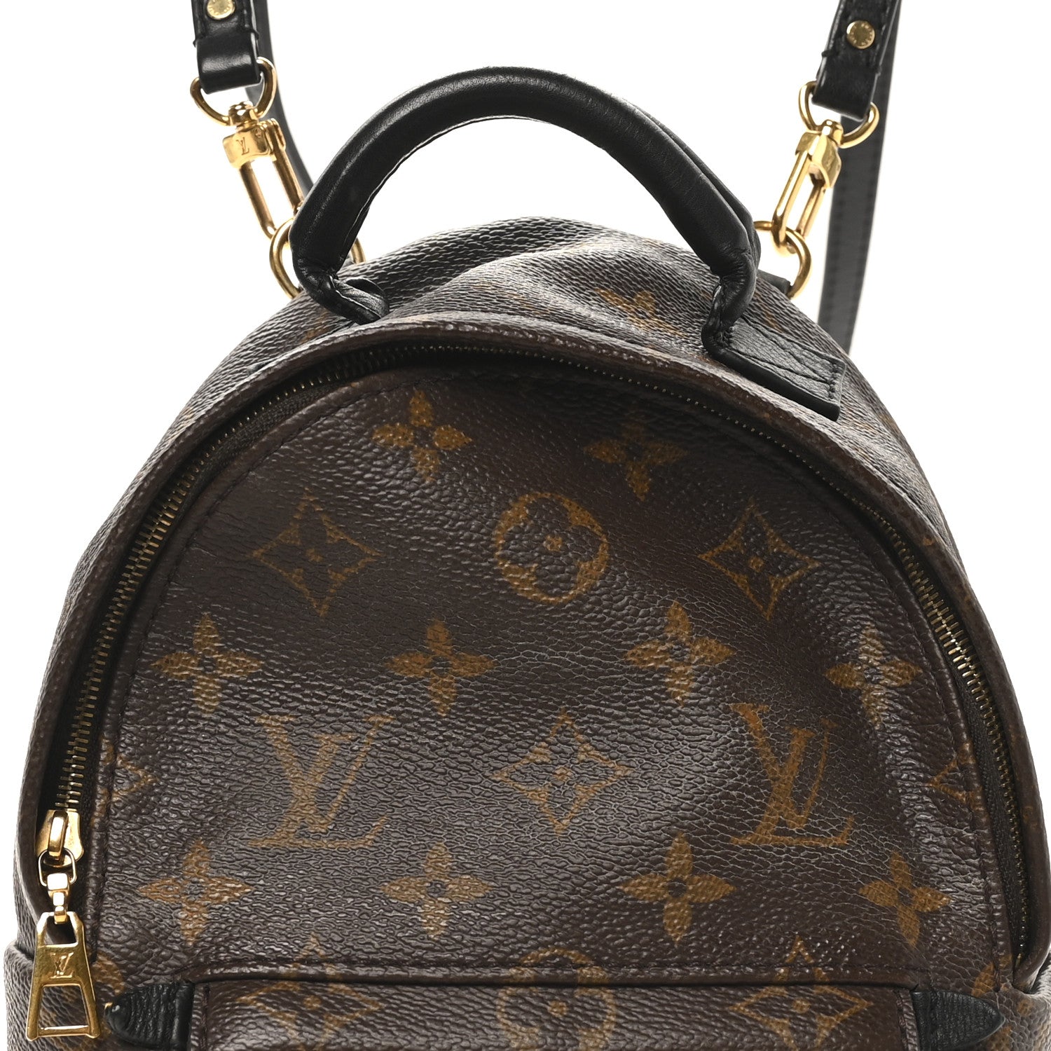 Louis Vuitton Monogram Palm Springs Backpack Mini