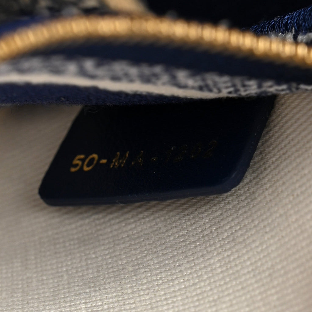 Christian Dior Canvas Reverse Embroidered Rêve d'Infini Medium Lady D-Lite Blue Multicolor