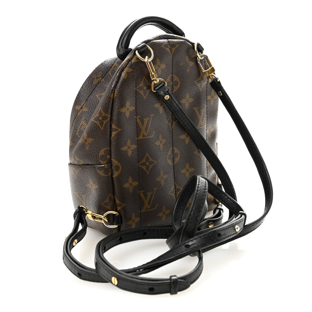 Louis Vuitton Monogram Palm Springs Backpack Mini