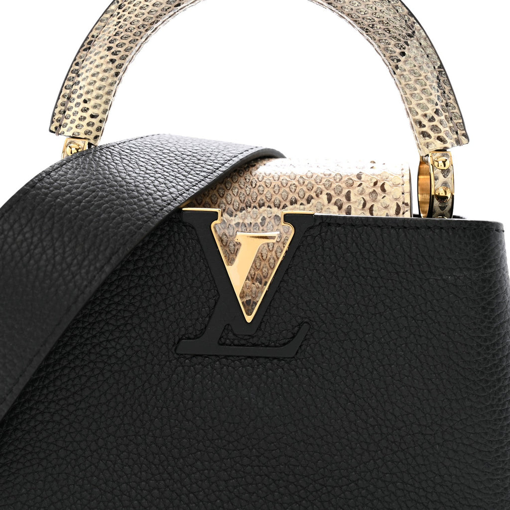 Louis Vuitton Taurillon Ayers Mini Capucines  Black