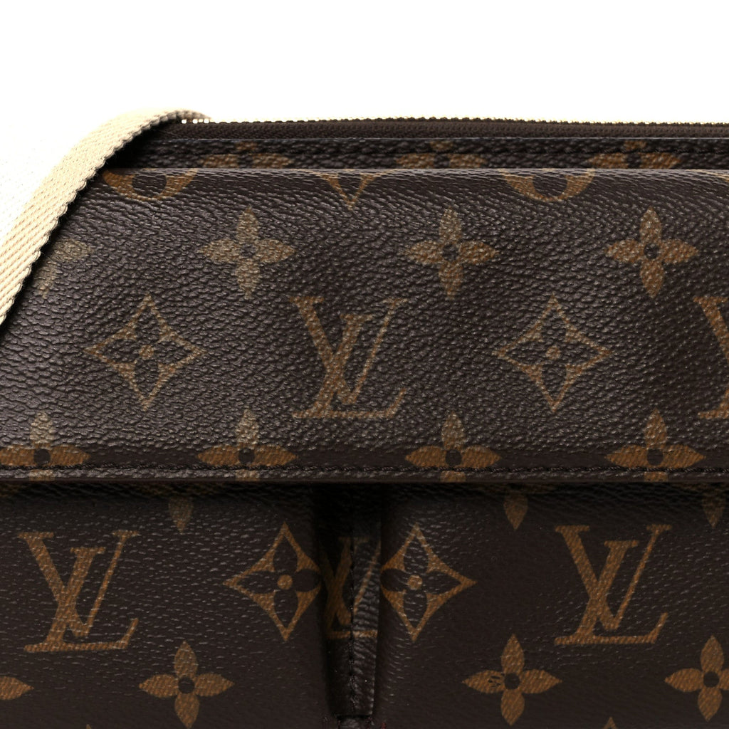 Louis Vuitton Monogram Vivacite Bag