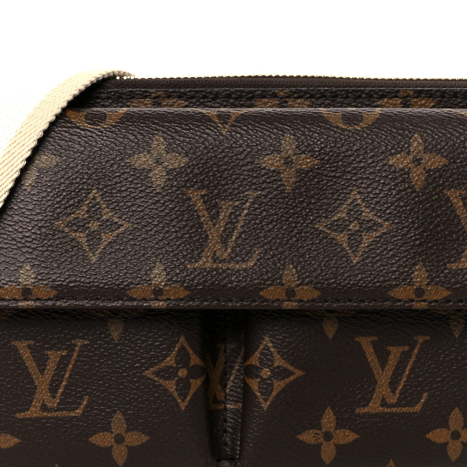 Louis Vuitton Monogram Vivacite Bag