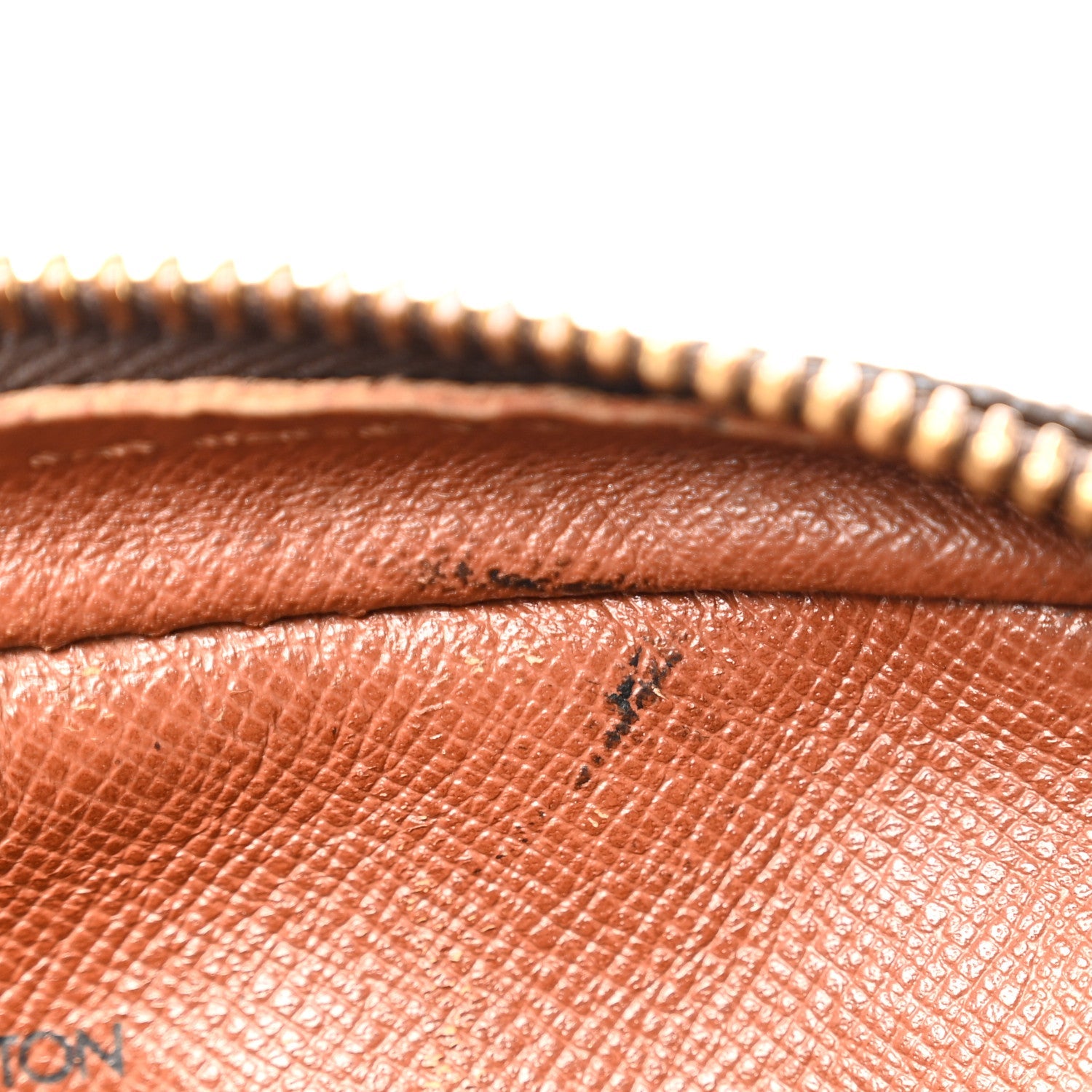 Louis Vuitton Monogram Danube 21