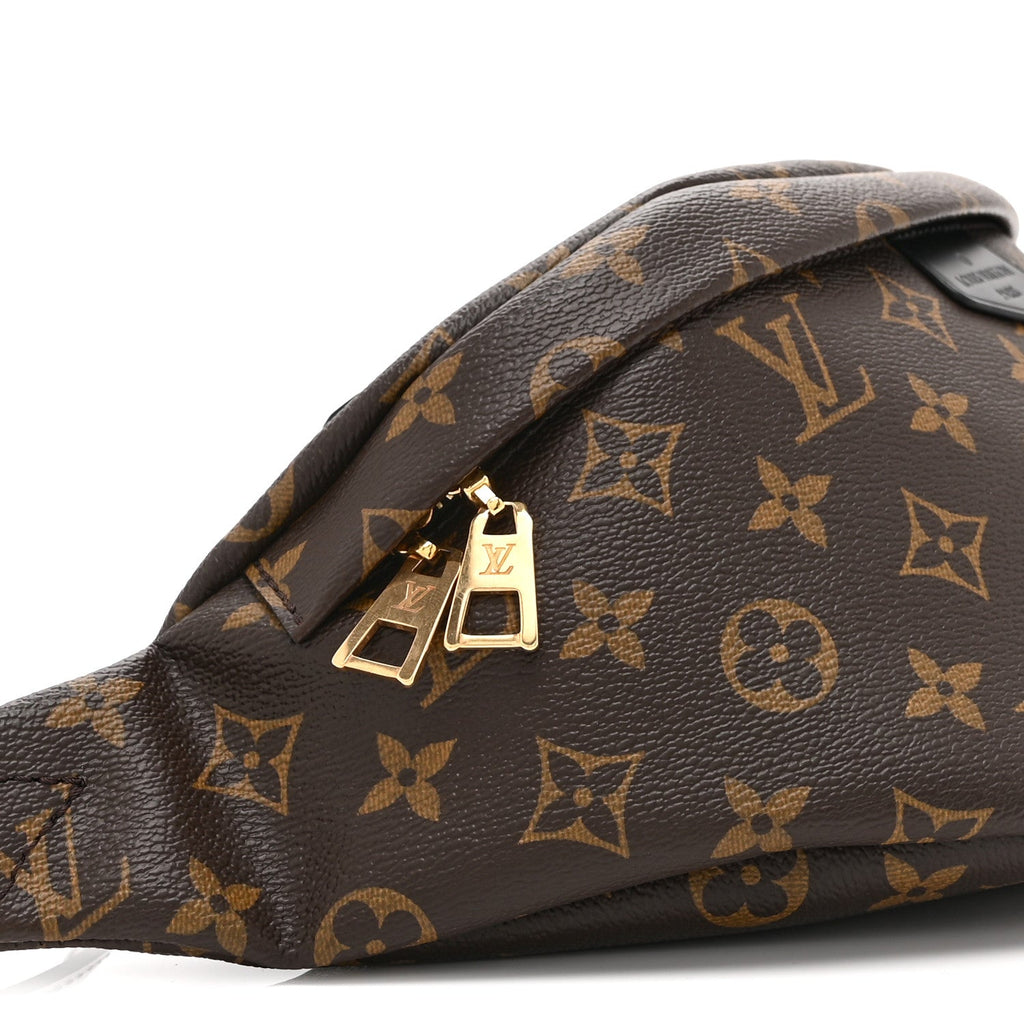 Louis Vuitton Monogram My LV World Tour Bumbag
