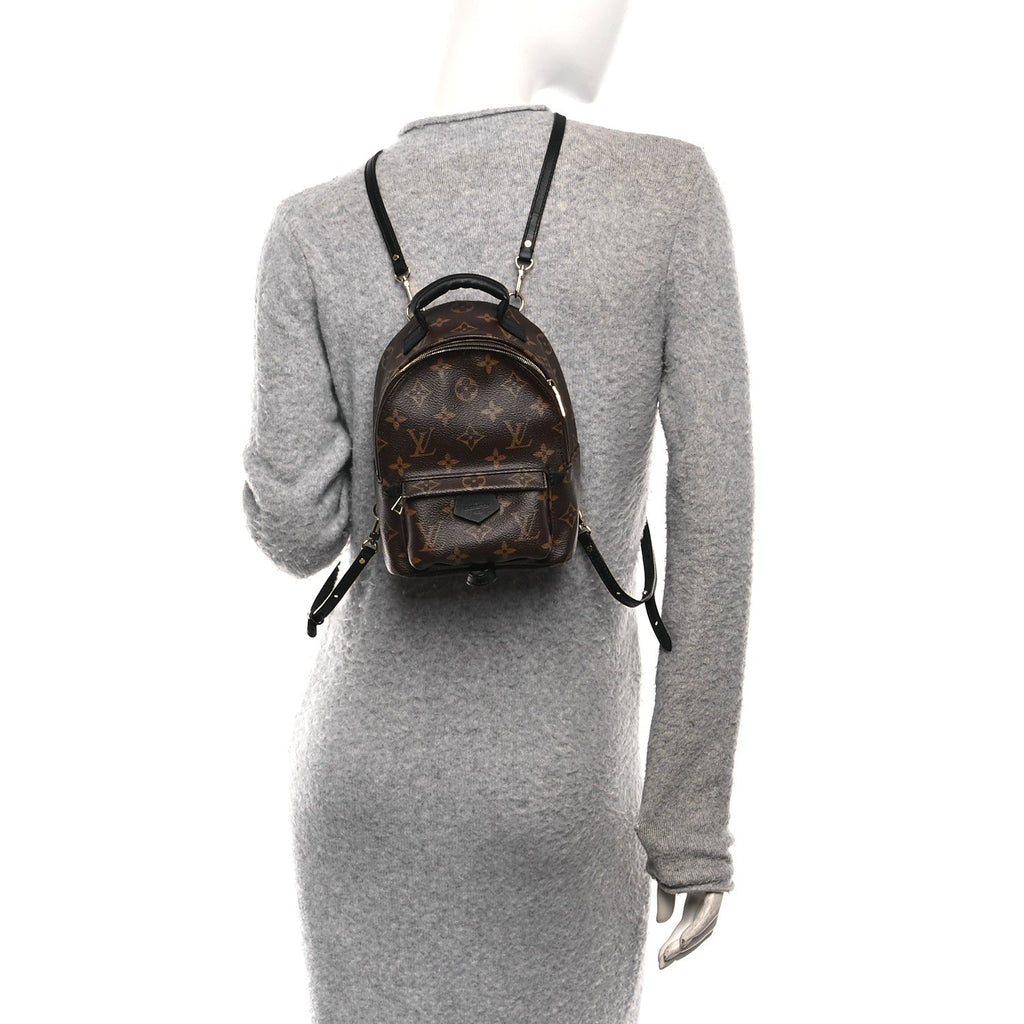 Louis Vuitton Monogram Palm Springs Backpack Mini