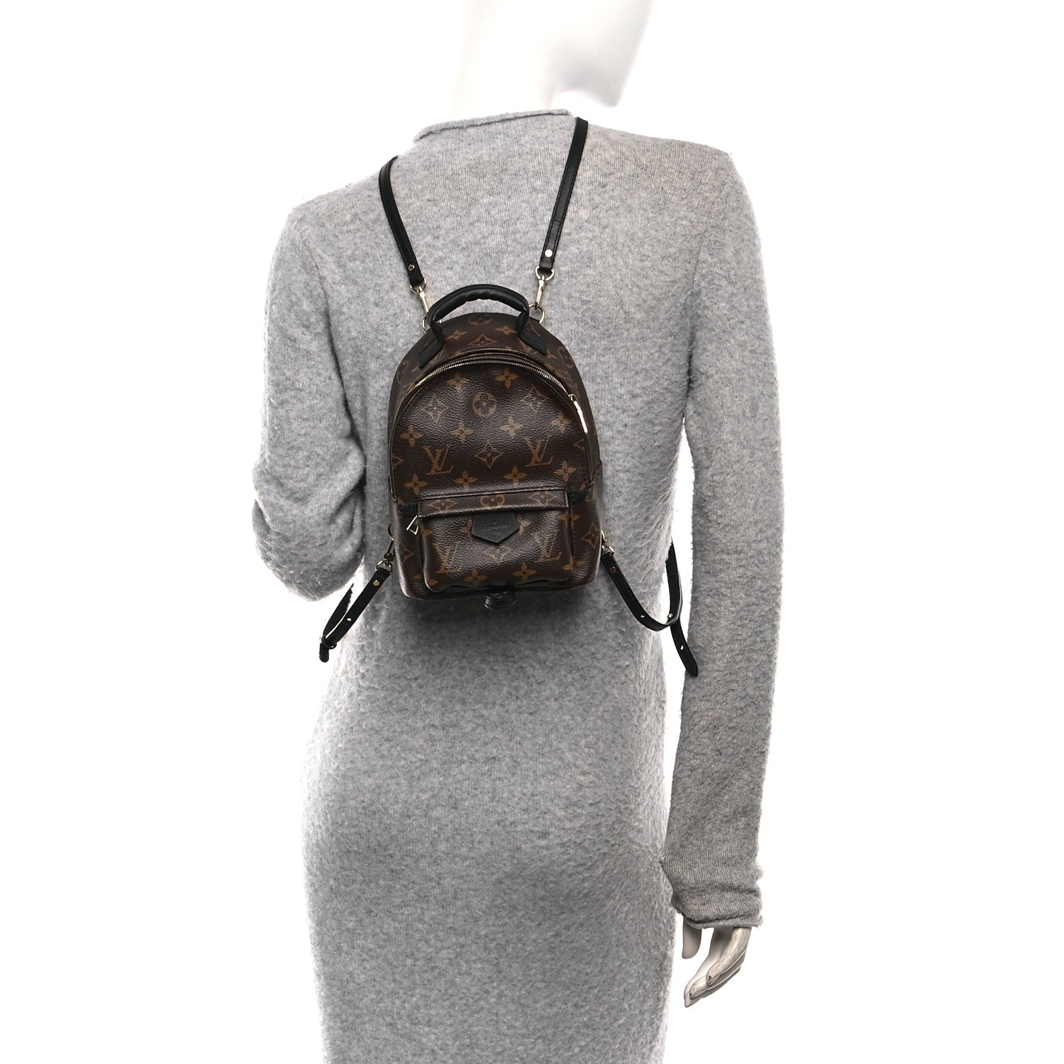 Louis Vuitton Monogram Palm Springs Backpack Mini