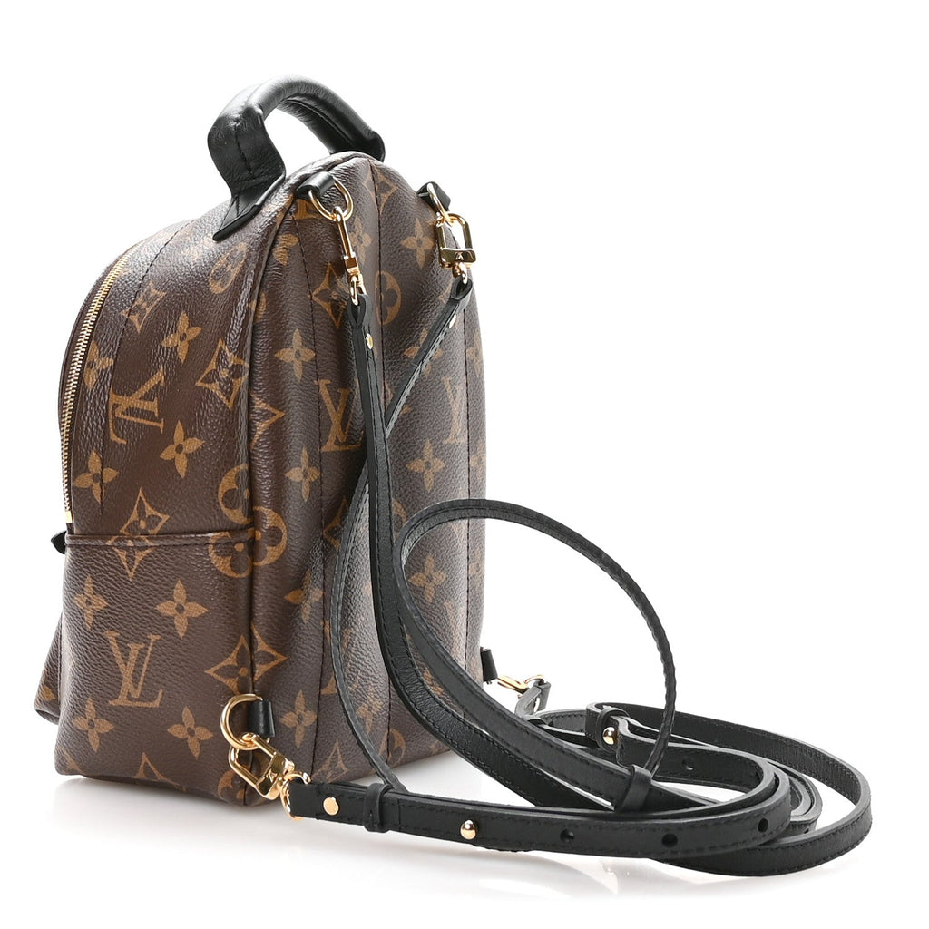 Louis Vuitton Monogram Palm Springs Backpack Mini
