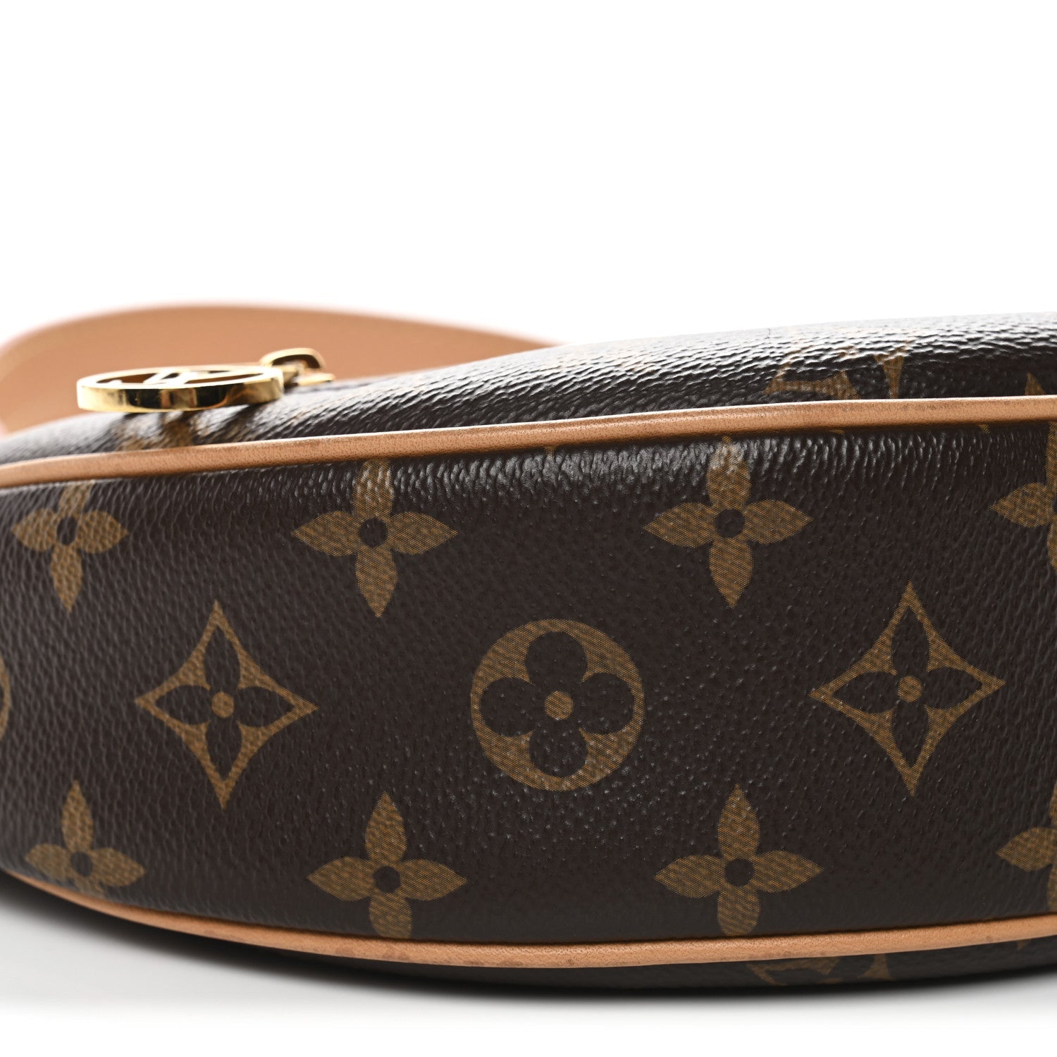 Louis Vuitton Monogram Loop