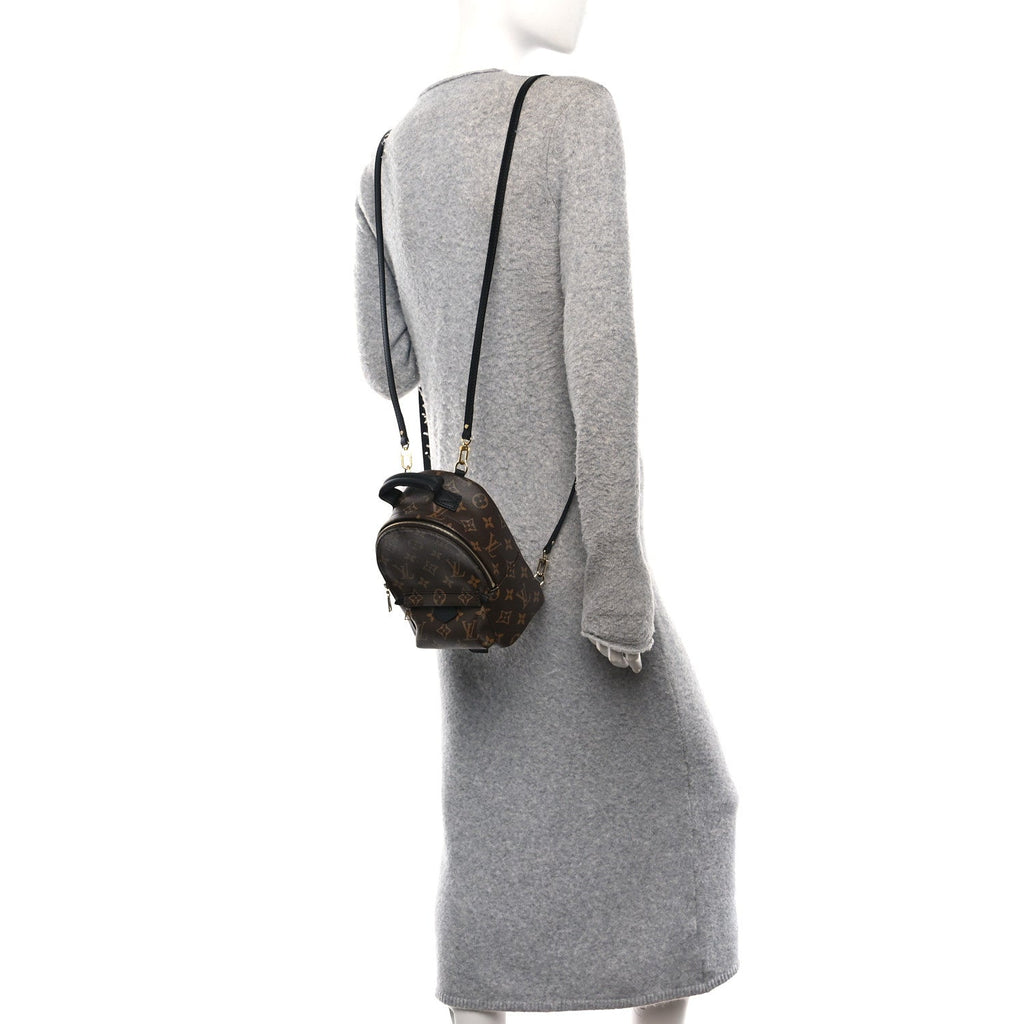 Louis Vuitton Monogram Palm Springs Backpack Mini